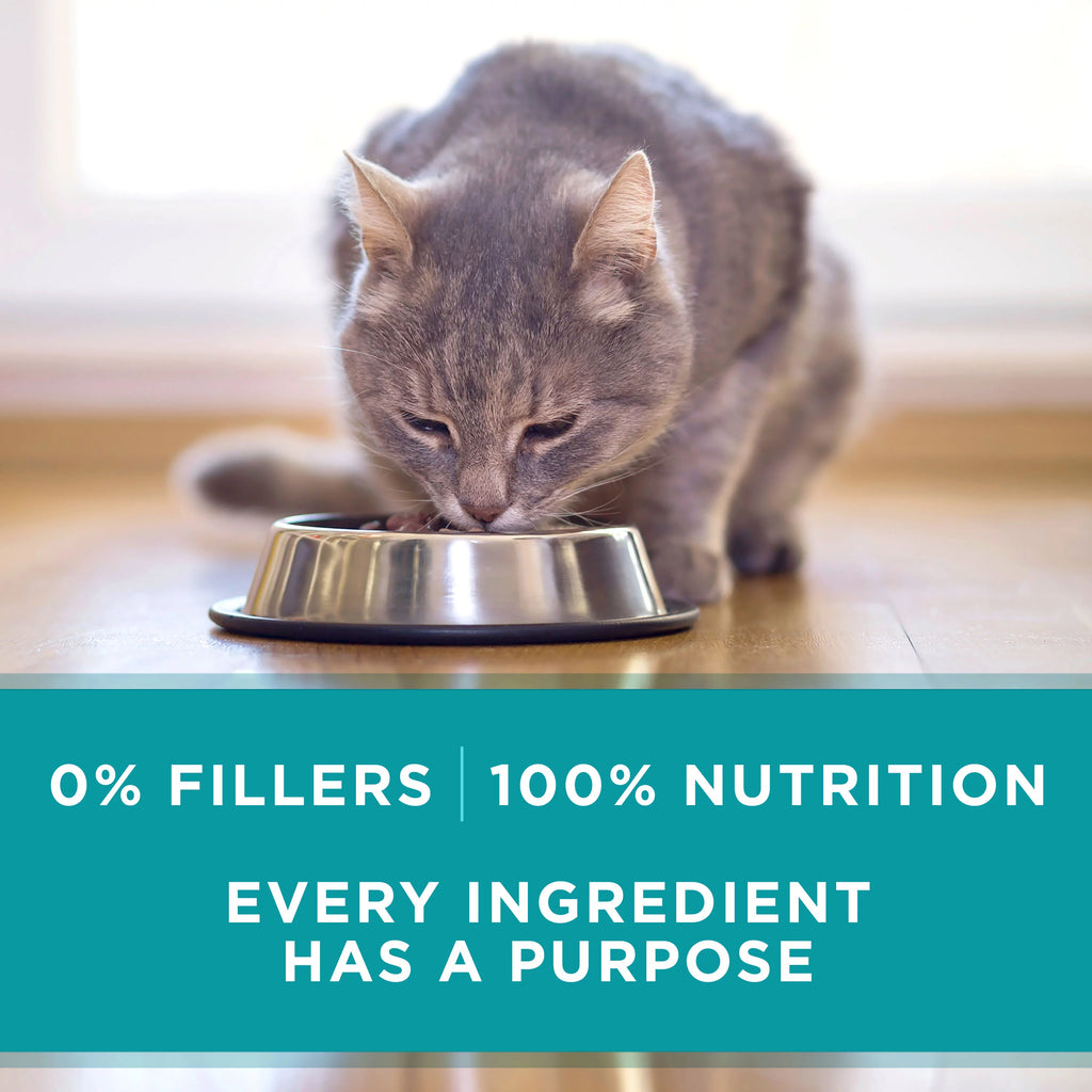 Grain Free Natural Pate Wet Cat Food Variety Pack Beef Chicken & Ocean Whitefish 3 oz. Pull-Top Cans P428