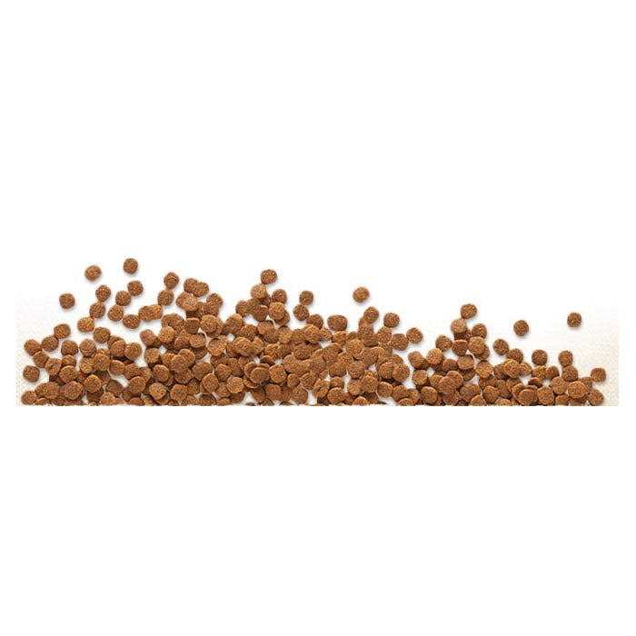 Grain Free Dry Dog Food X6131