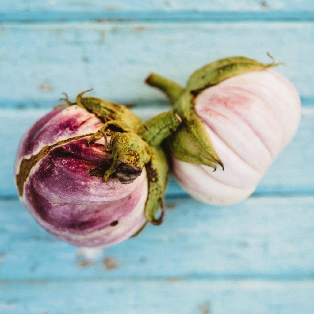 25 Seeds Italian Heirloom Eggplant L513387