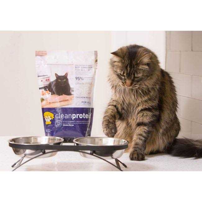 Chicken Formula Dry Cat Food Z714