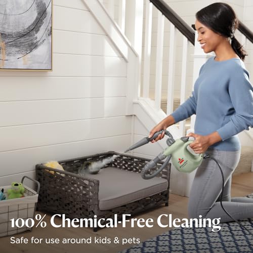 Handheld Portable Steam Cleaner with 10 Tools T106202