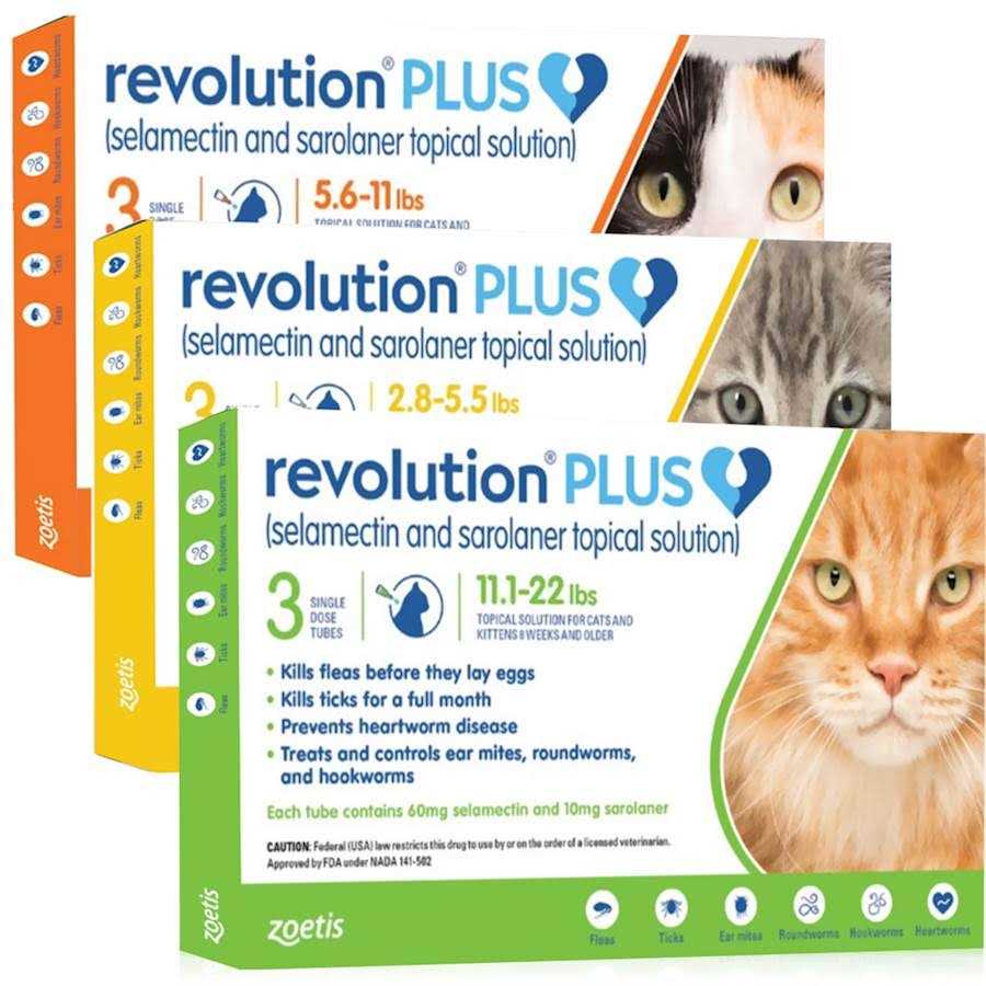 Topical Solution for Cats L636194