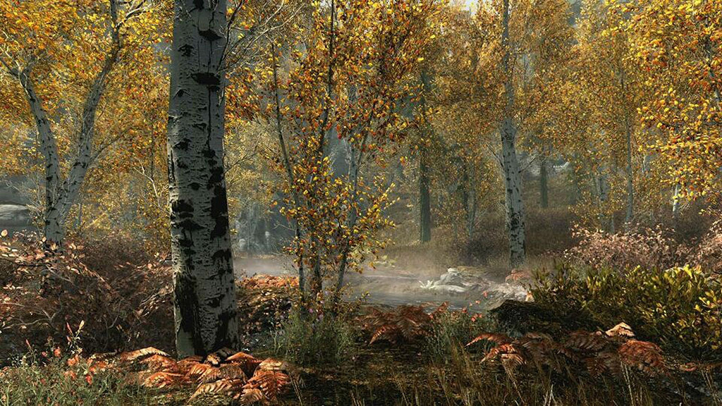 The Elder Scrolls V Skyrim Special Xbox One Z41696