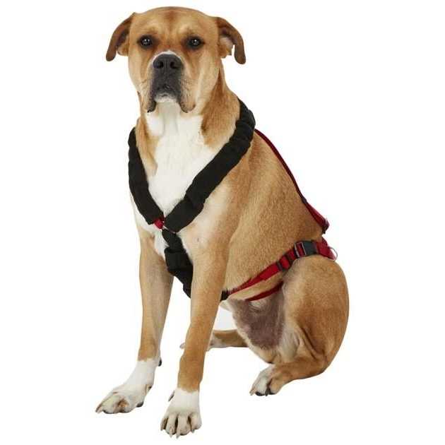 One Harness L712674