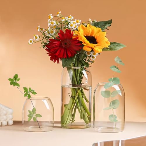 Clear Ribbed Glass Vase, 7.87 Inches E902
