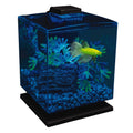 GloFish Cube Aquarium Kit B23346