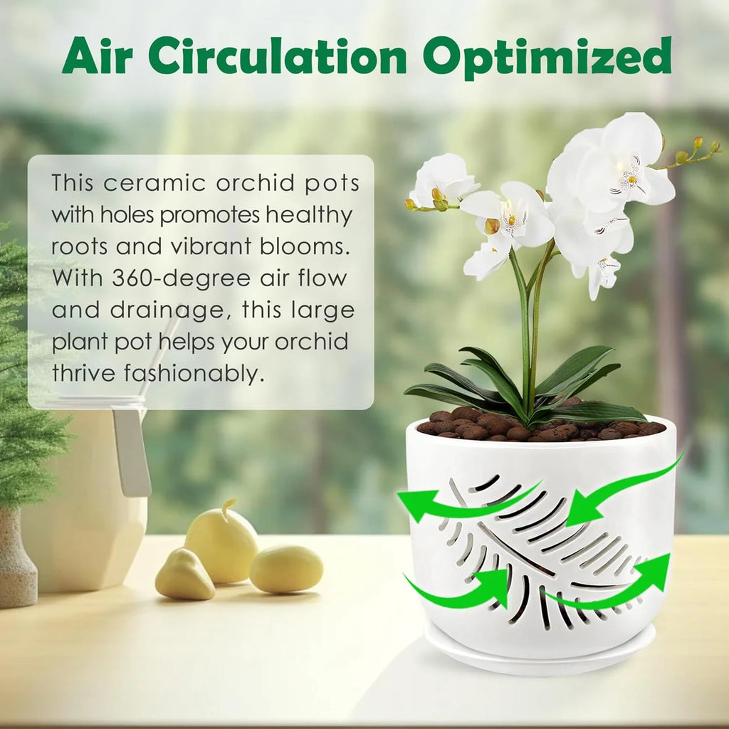 6+5 inch Ceramic Orchid Pots with Holes, 2 Pack K4081