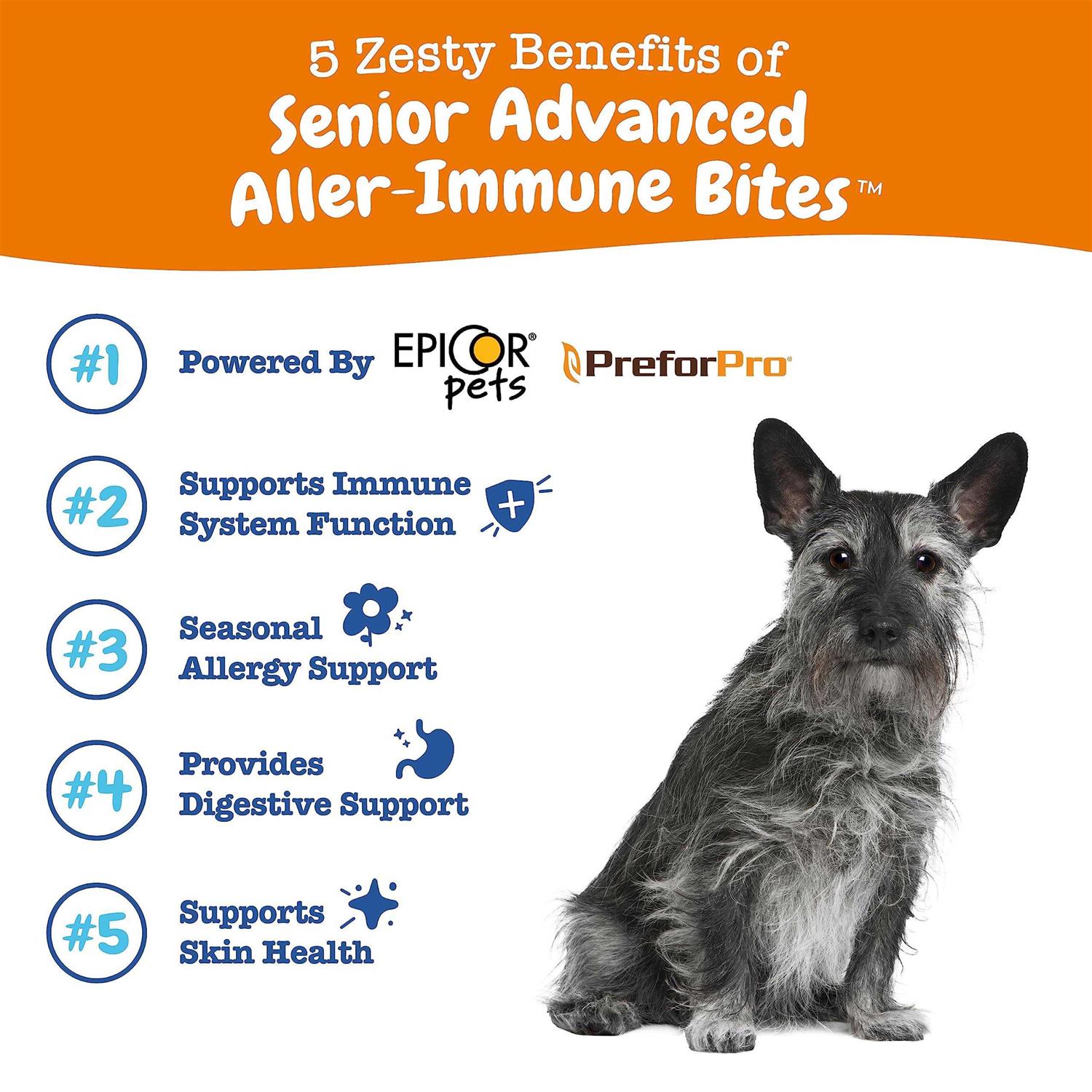 Senior Advanced Salmon Allergy & Immune Bites for Dogs E4663