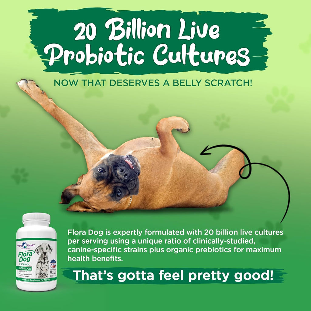 30 Beef Flavored Probiotic Chewable Tablets for Dogs F213