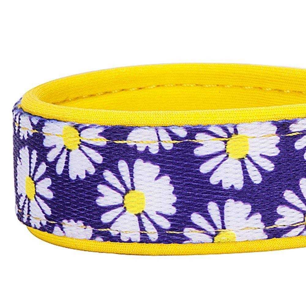 Blueberry Pet Dog Collar O1413
