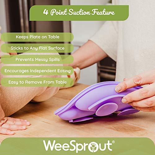 100% Silicone Suction Plates 3 Pack S34515