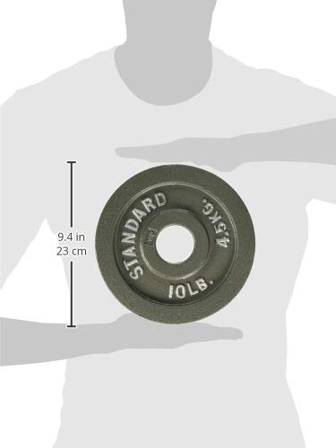 Gray Olympic Weight Plates R8502