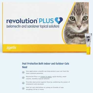 Topical Solution for Cats L636194