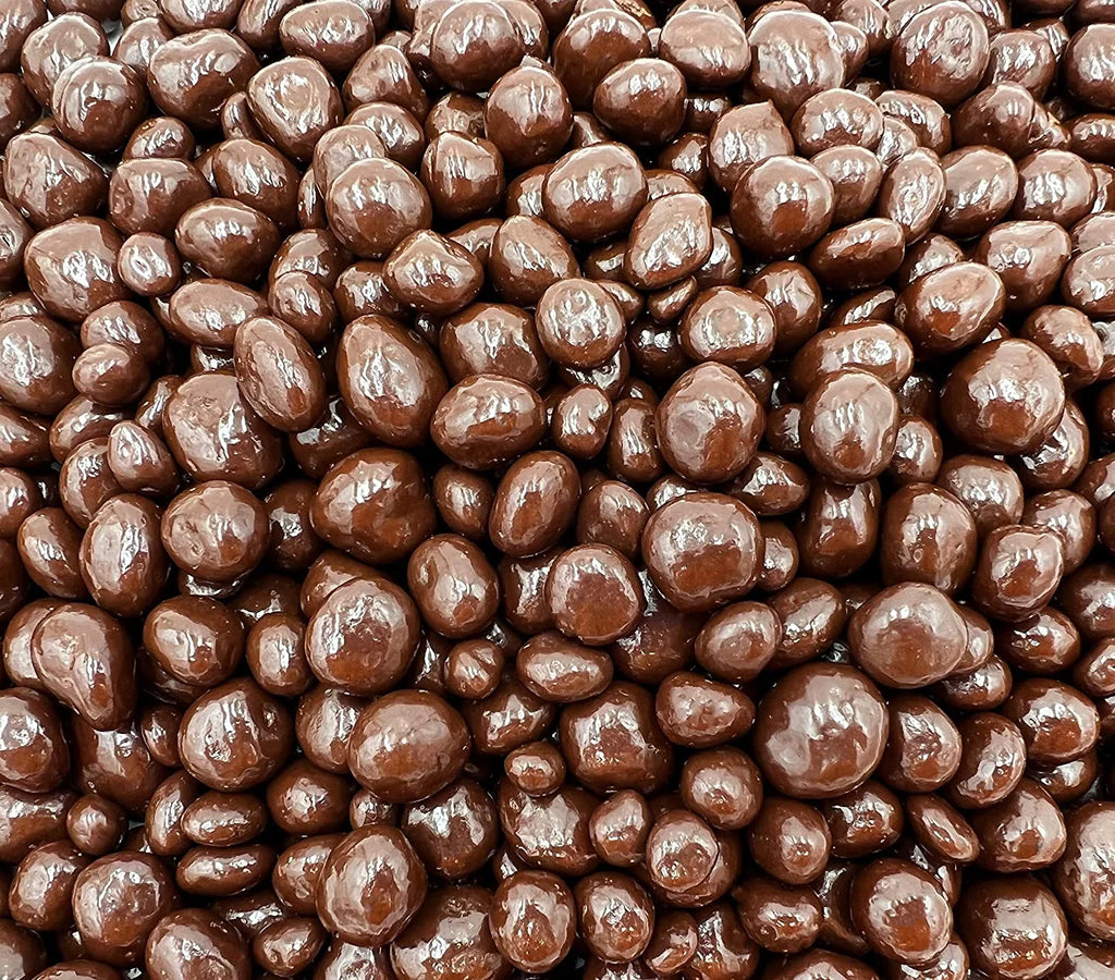 Dark Chocolate Covered Raisins Candy (1 Pound Bag) G98267