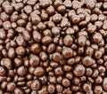 Dark Chocolate Covered Raisins Candy (1 Pound Bag) G98267
