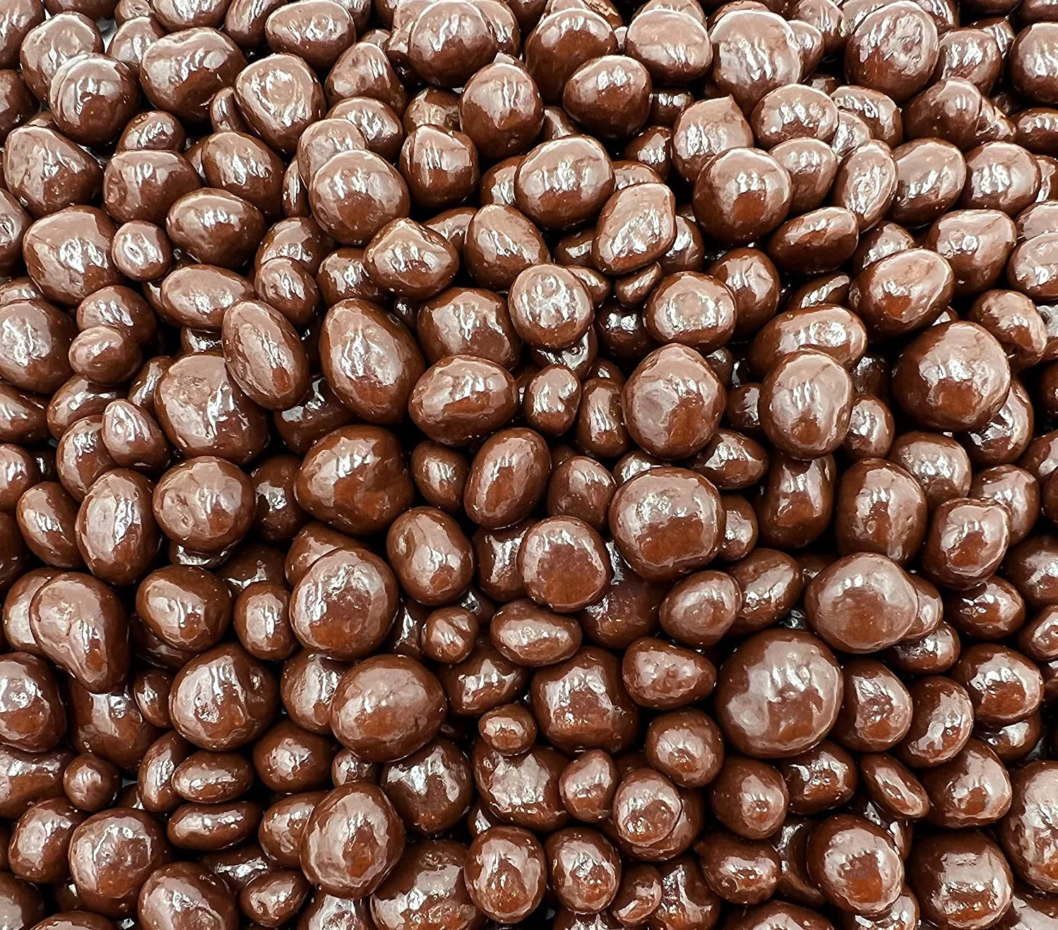 Dark Chocolate Covered Raisins Candy (1 Pound Bag) G98267
