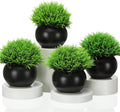 4 Pack Artificial Succulent Plants in Matte Black Ceramic Pots E796