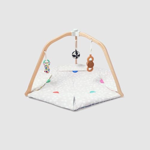 Stage-Based Developmental Activity Gym & Play Mat R992792