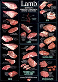 24x36 Multi-Color Poster G348195