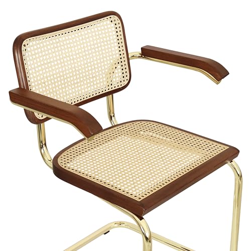 Black Cane Cantilever Armchair with Brass Steel Frame H74794