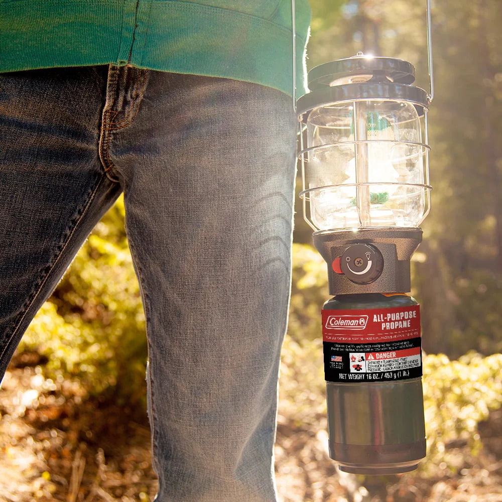 16 oz 4-Pack Propane Gas Cylinder S451595