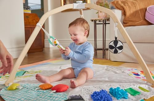 Stage-Based Developmental Activity Gym & Play Mat R992792