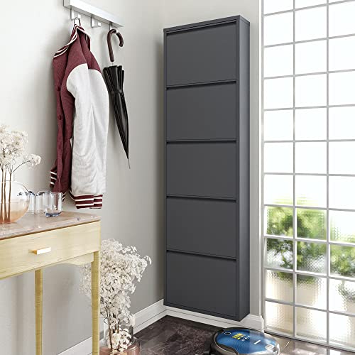 5 Tier Metal Shoe Cabinet with Cover, Anthracite K82653