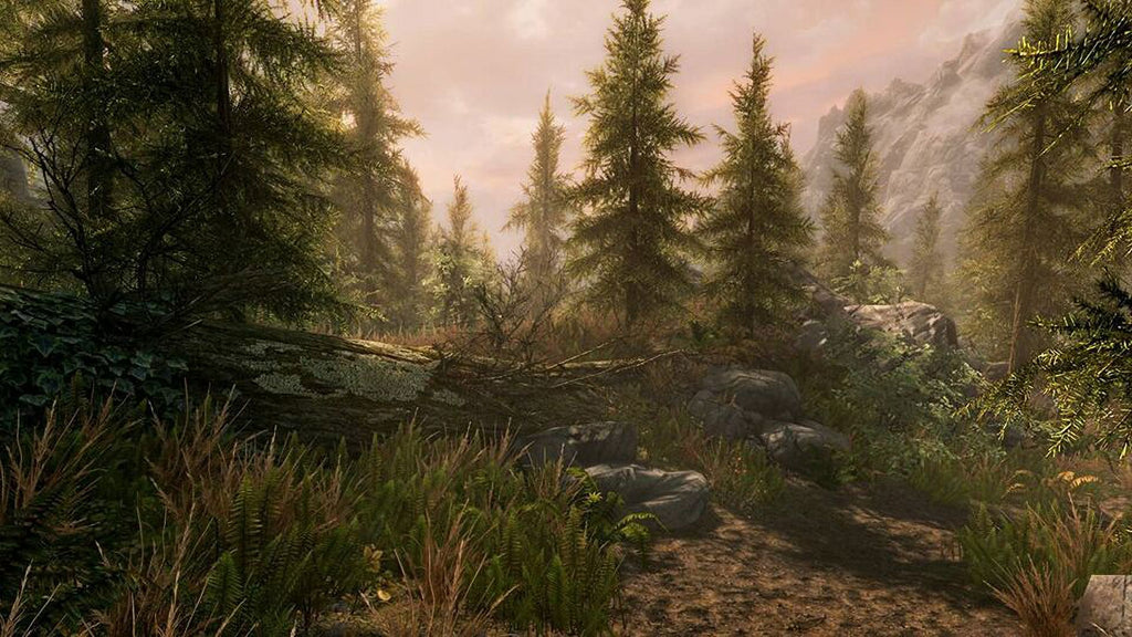 The Elder Scrolls V Skyrim Special Xbox One Z41696