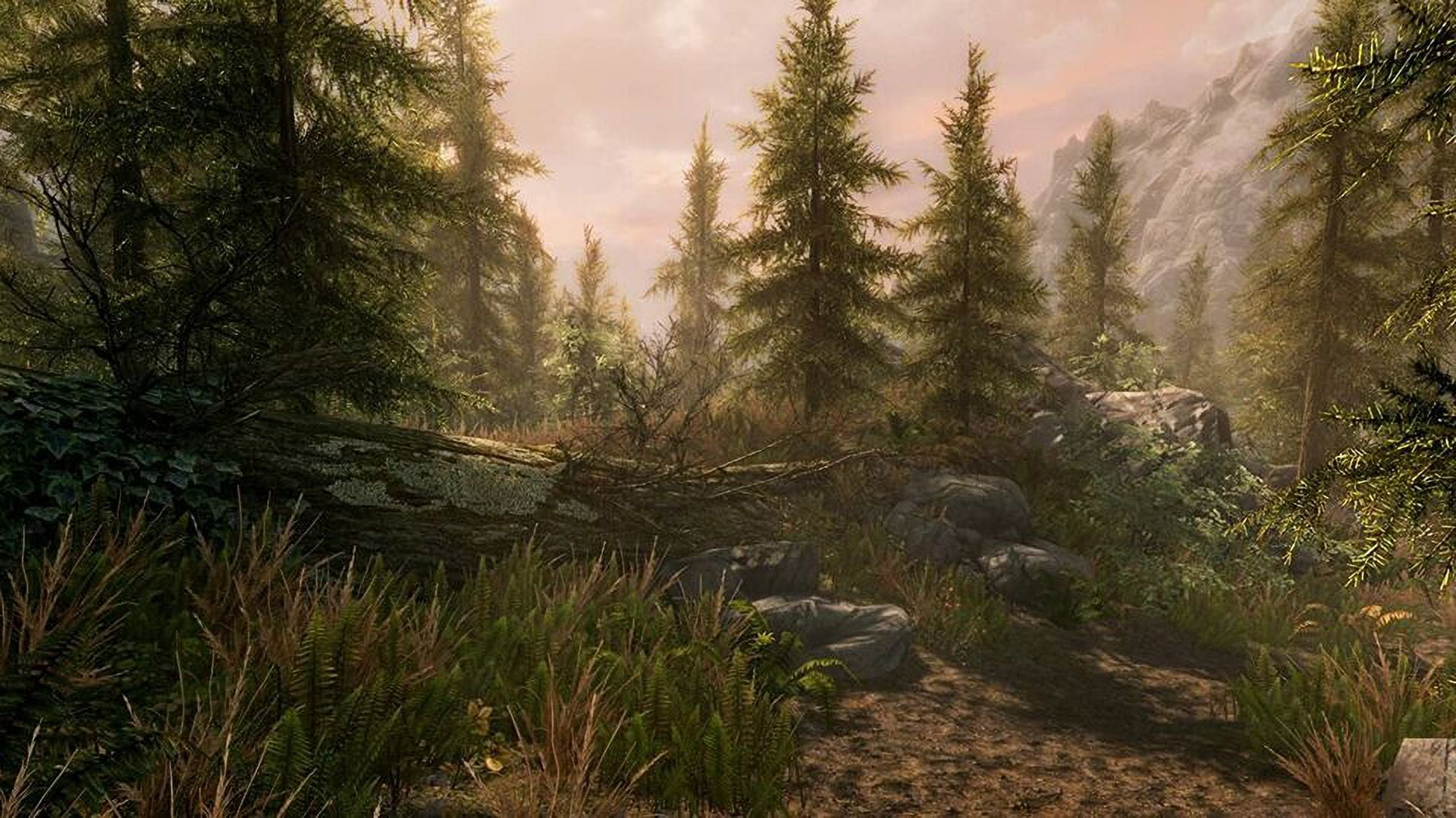 The Elder Scrolls V Skyrim Special Xbox One Z41696