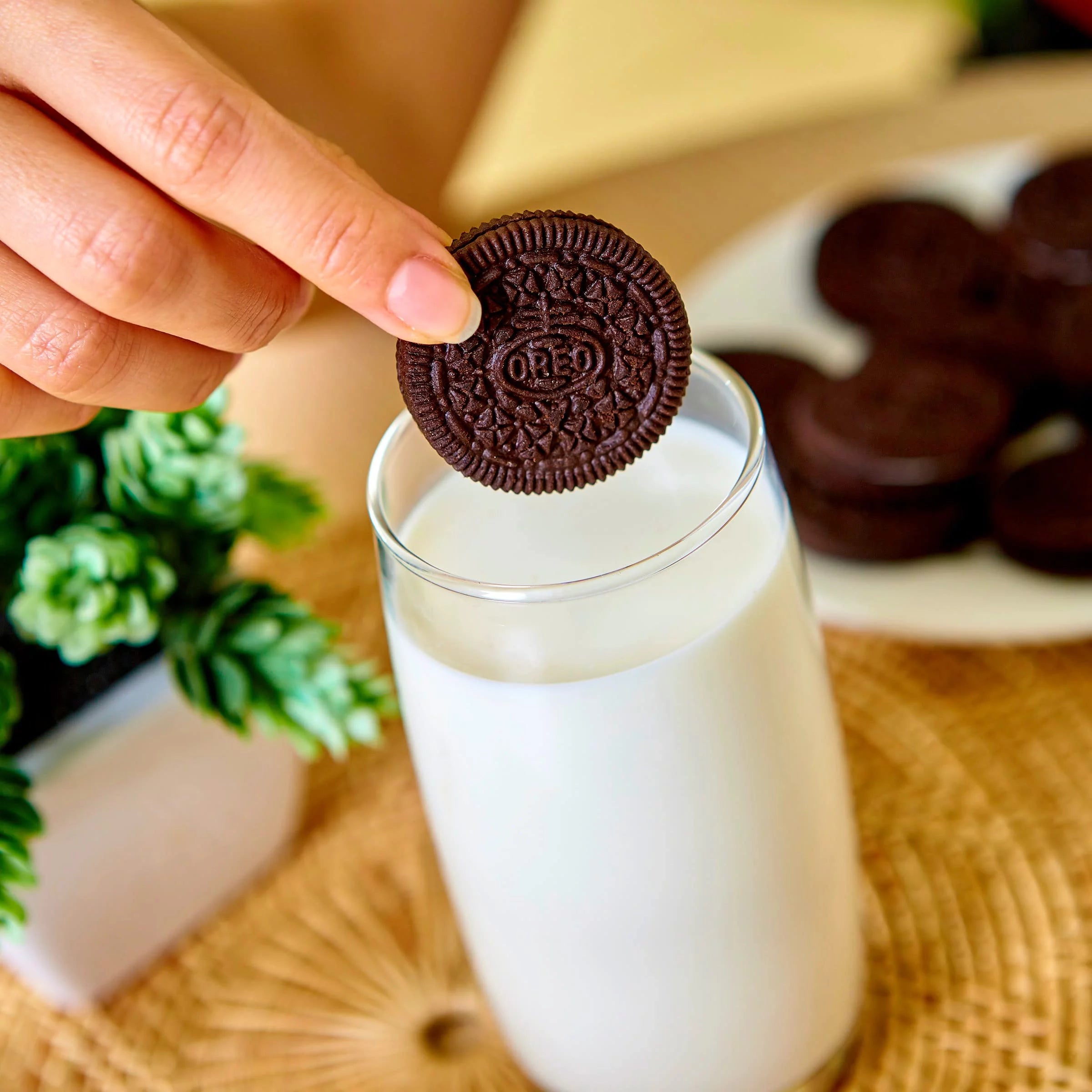 Family Size Chocolate Sandwich Cookies (Pack of 2) S561
