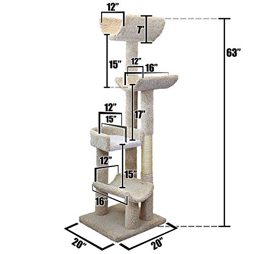 Cat Climbing Tree X304681