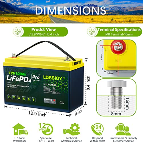 12V 100Ah 1280WH 100A BMS Lifepo4 Lithium Battery (2 pack) M72485
