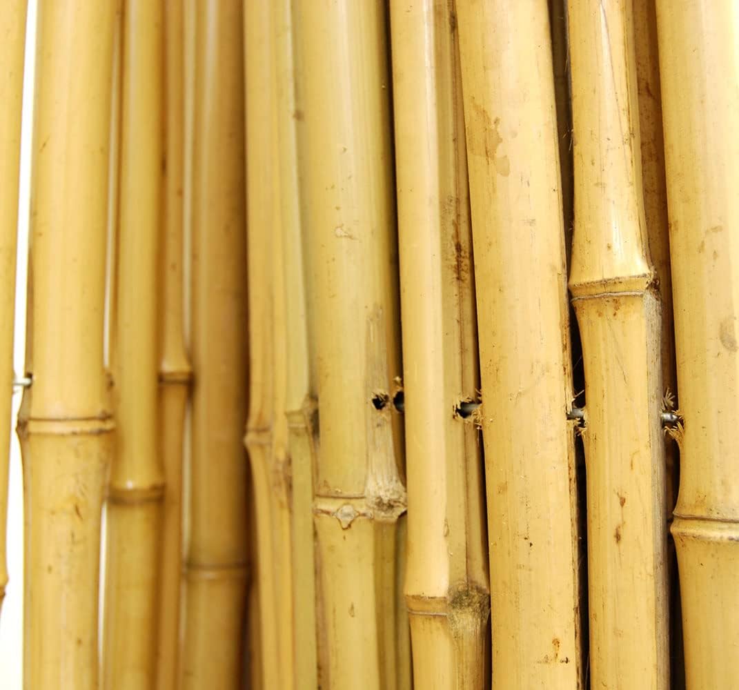 Natural Bamboo Fencing Rolled Fence Panel 0.75 in D x 6 ft H x 8 ft L Y5865