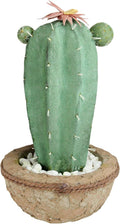 13.75” Potted Green and Brown Artificial Cactus Plant with Flowers J31751