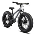 Fat Tire Mountain Bike M7875